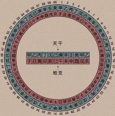 10天干12地支|解析十天干和十二地支的来源